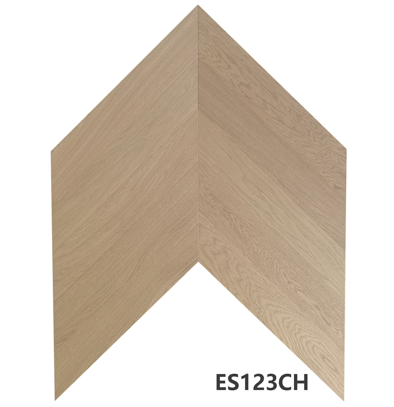 ES123CH.jpg