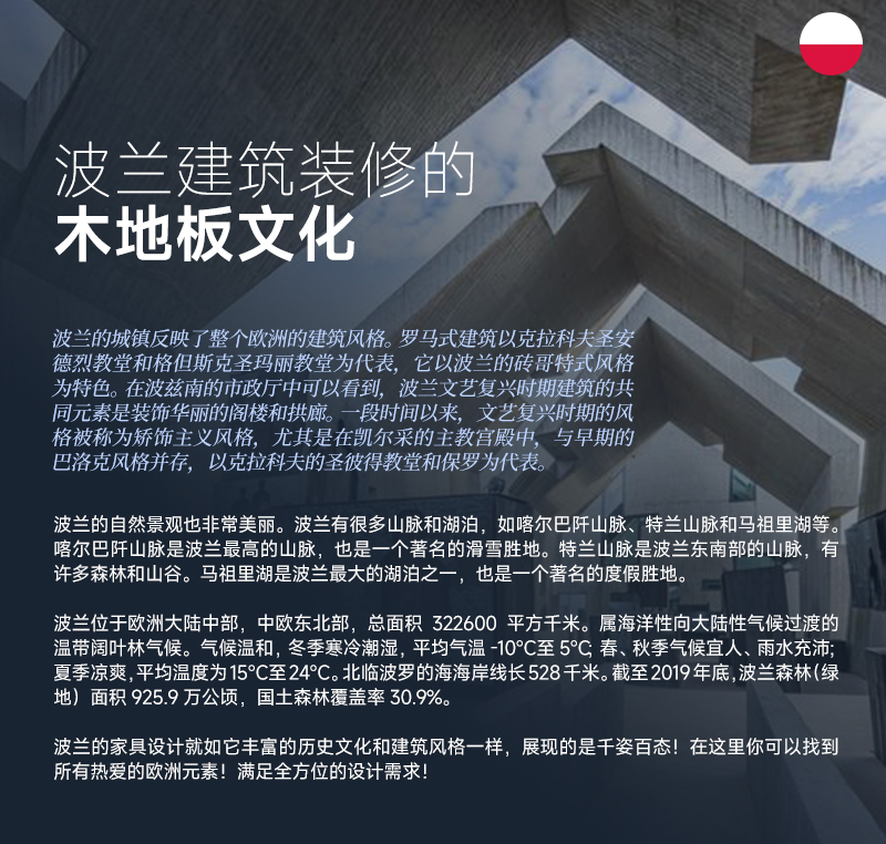 波兰-HE-人字拼_02.jpg